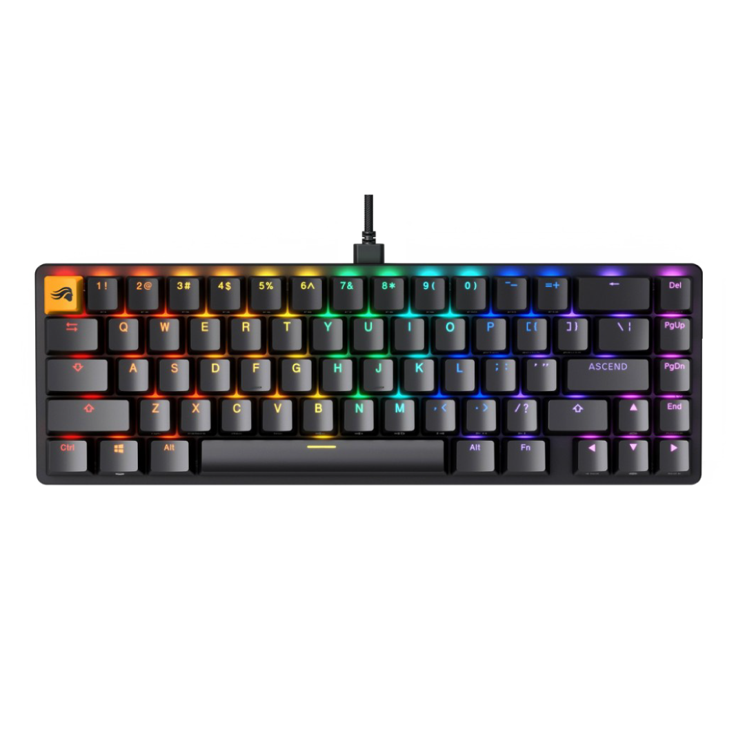 Glorious GMMK2 Prebuilt Compact 65% GLO-GMMK2-65-FOX-B-AR Mechanical Gaming Keyboard (Hot-Swappable, Fox Switches, RGB)